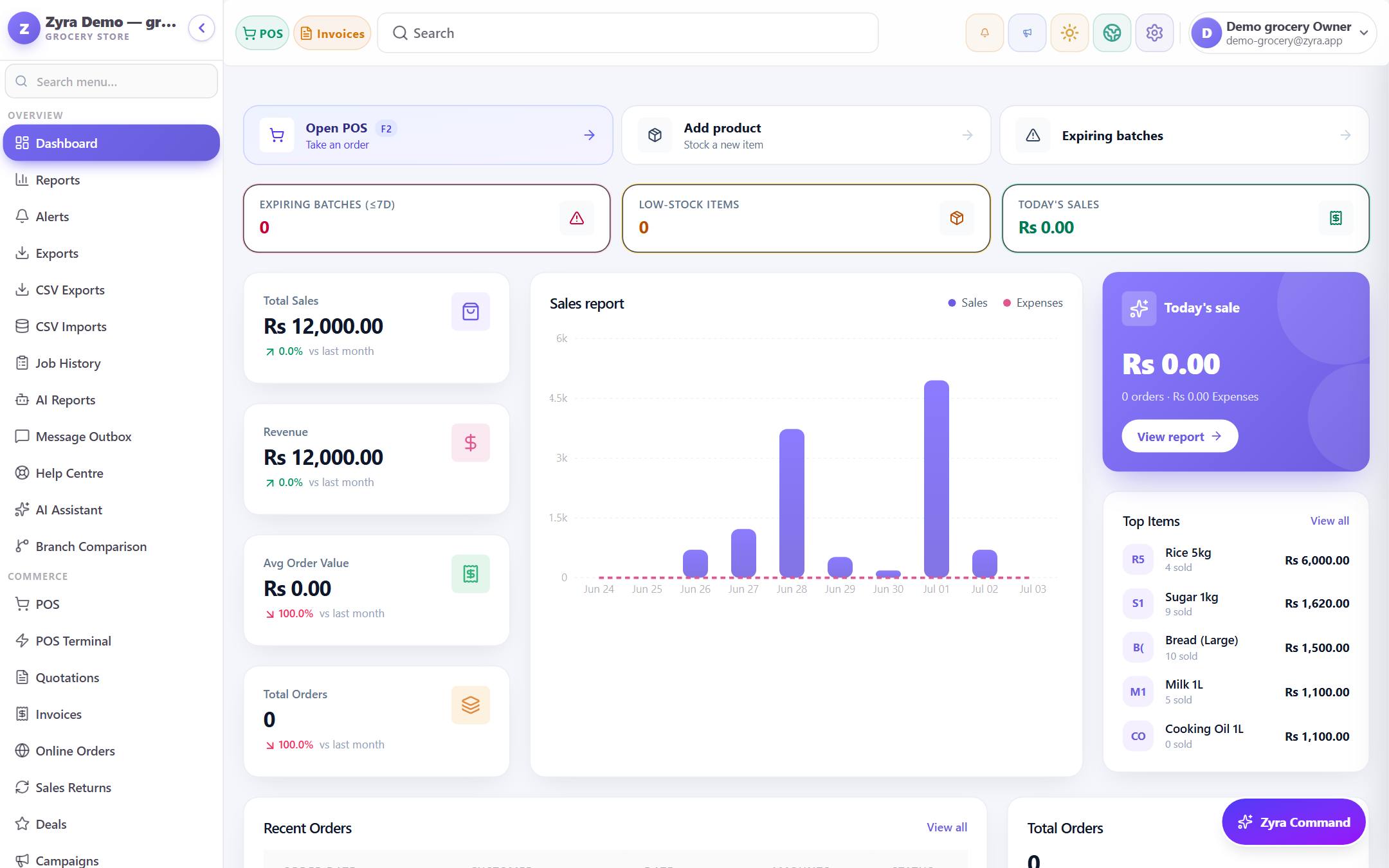 Zyra dashboard preview